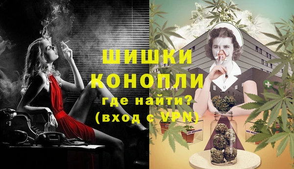 ПСИЛОЦИБИНОВЫЕ ГРИБЫ Кулебаки