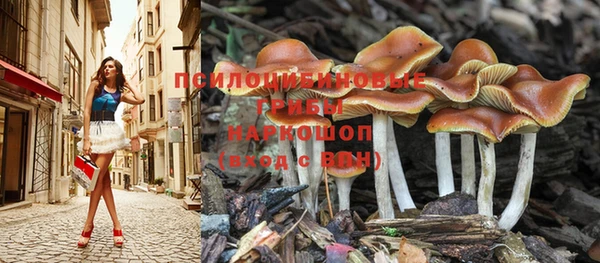 mdpv Куйбышев