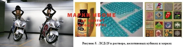 ПСИЛОЦИБИНОВЫЕ ГРИБЫ Кулебаки