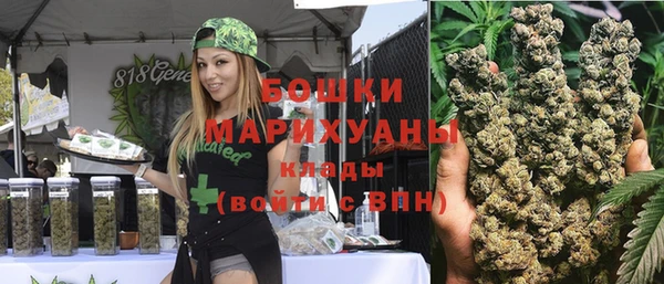 ПСИЛОЦИБИНОВЫЕ ГРИБЫ Кулебаки