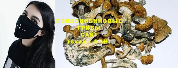 ПСИЛОЦИБИНОВЫЕ ГРИБЫ Кулебаки