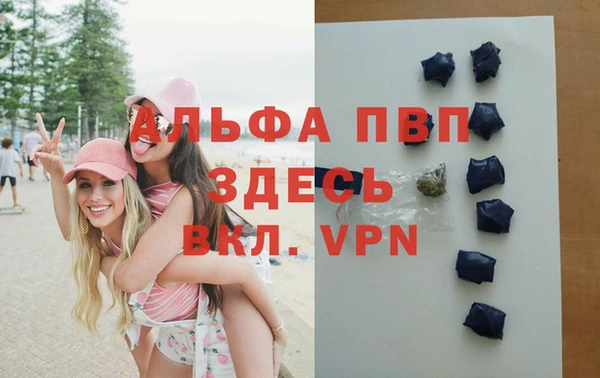 СК Кукмор