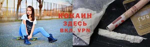 ПСИЛОЦИБИНОВЫЕ ГРИБЫ Кулебаки