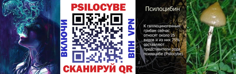 Купить  Курск  Псилоцибиновые грибы ЛСД 